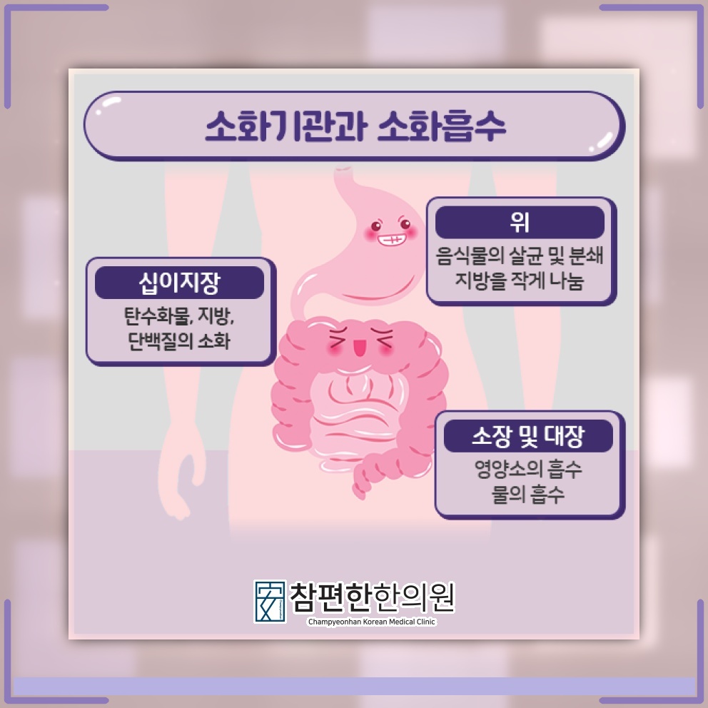과민성대장증후군, 예민한 장과 마음의 긴장을 함께 살피기